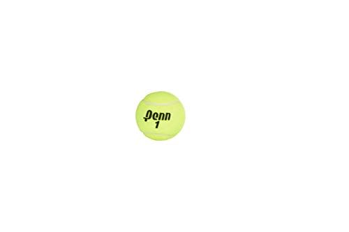 Penn Championship Tennis Balls - Extra Duty