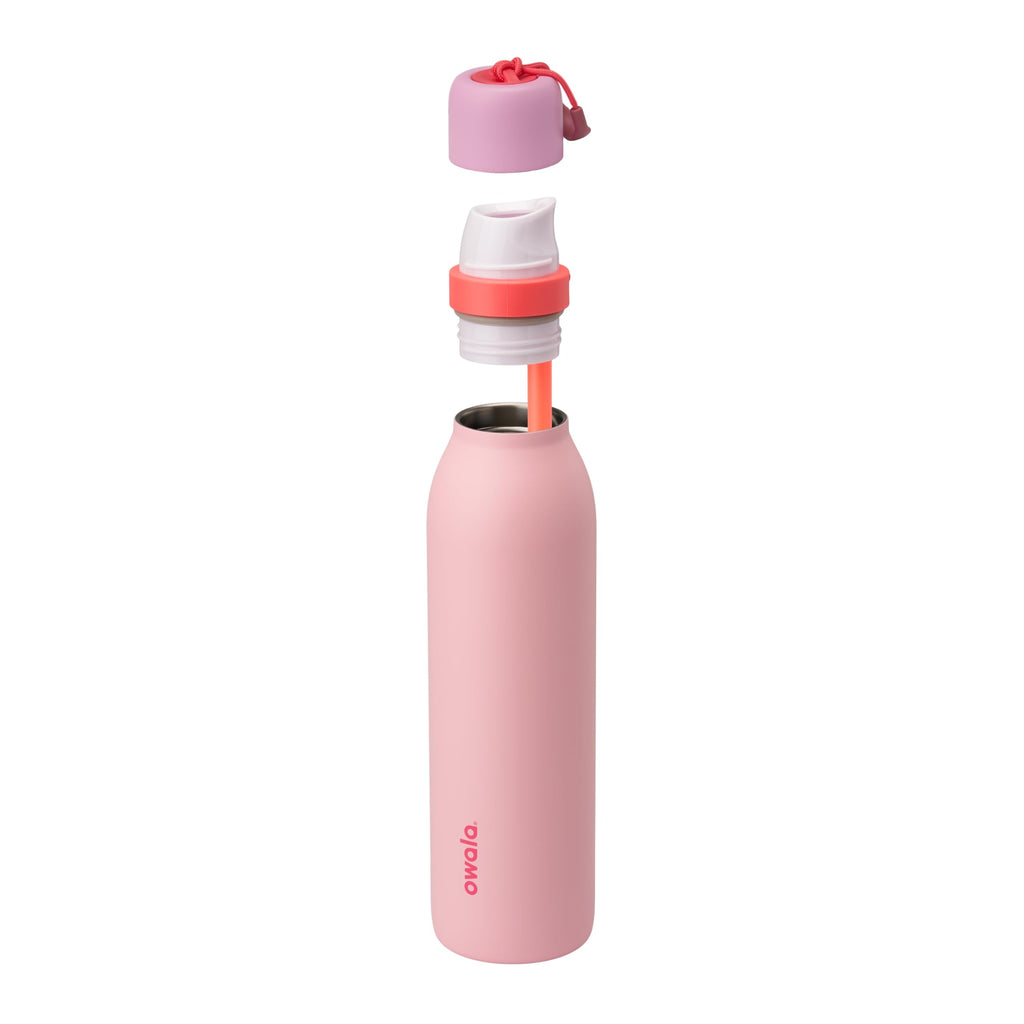 Owala FreeSip Twist Stainless Steel Water Bottle 24 oz Daybreak