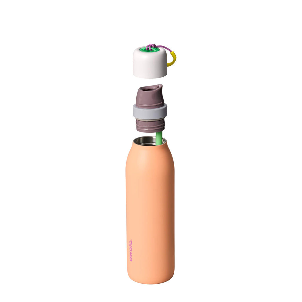Owala FreeSip Twist Stainless Steel Water Bottle 24 oz Daybreak
