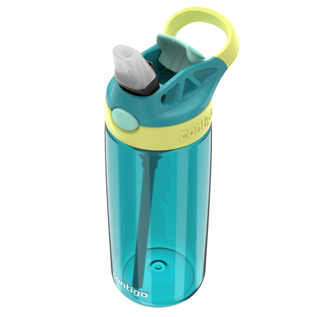 Contigo Aubrey Kids Water Bottle, Dinos & Sharks, 14oz, 2-Count