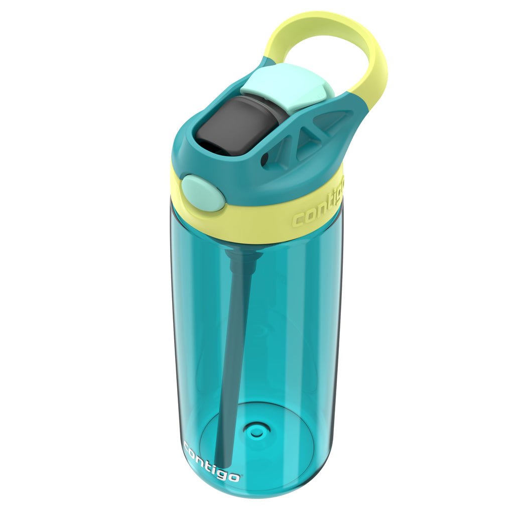 Contigo Aubrey Kids Water Bottle, Dinos & Sharks, 14oz, 2-Count