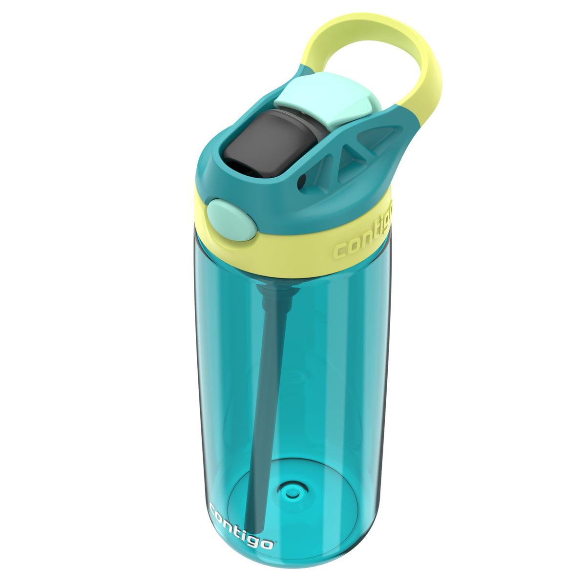 Contigo Aubrey Kids Water Bottle, Dinos & Sharks, 14oz, 2-Count