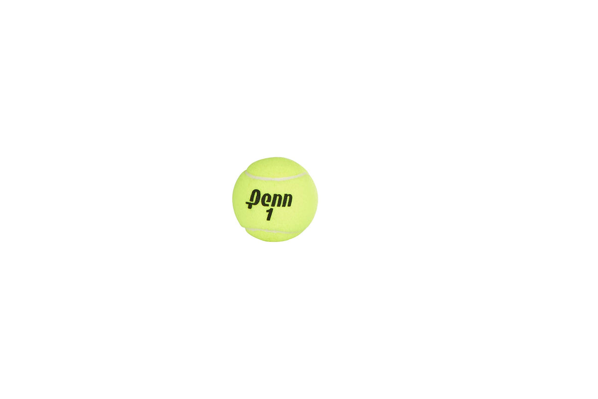 Penn Championship Tennis Balls - Extra Duty