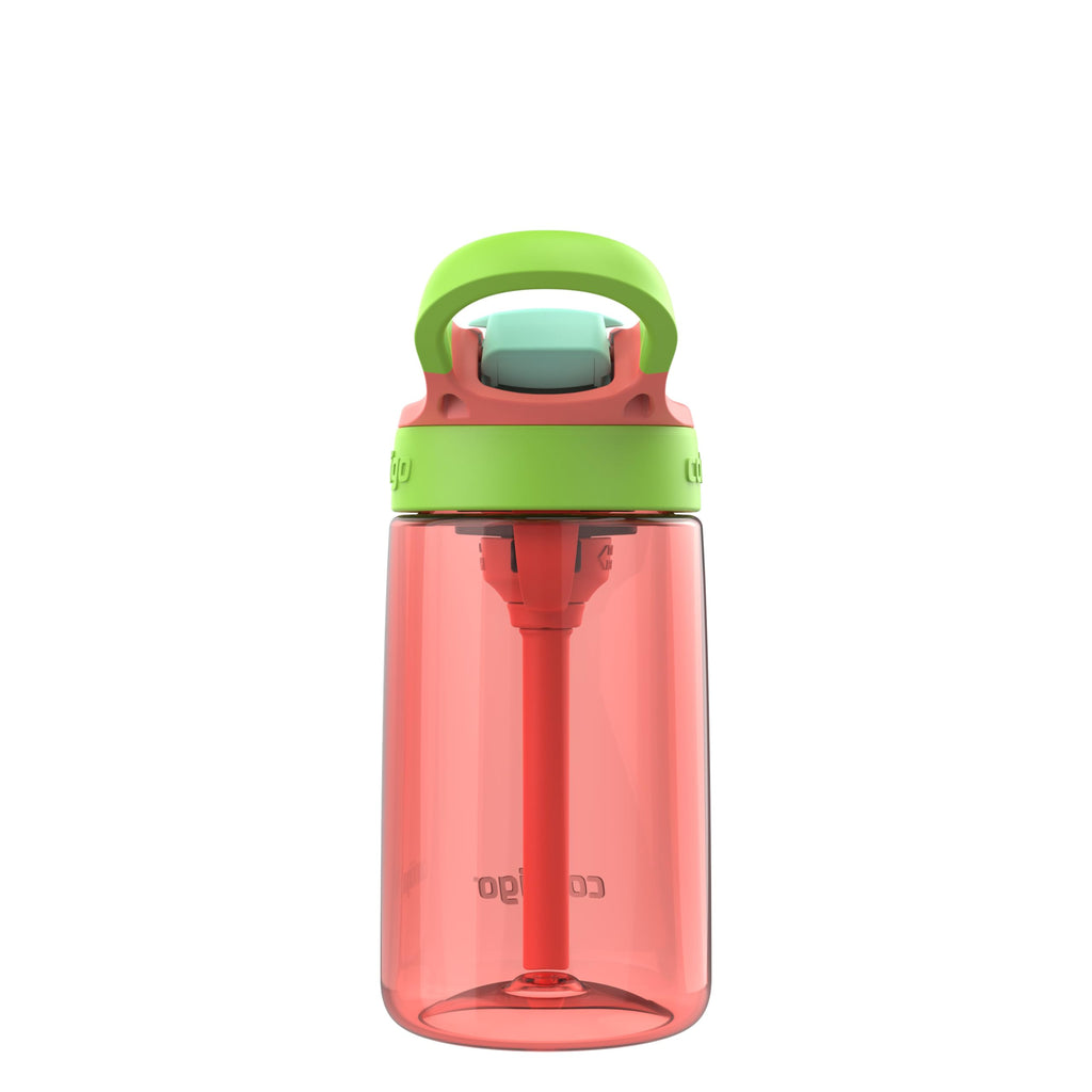 Contigo Aubrey Kids Water Bottle, Dinos & Sharks, 14oz, 2-Count